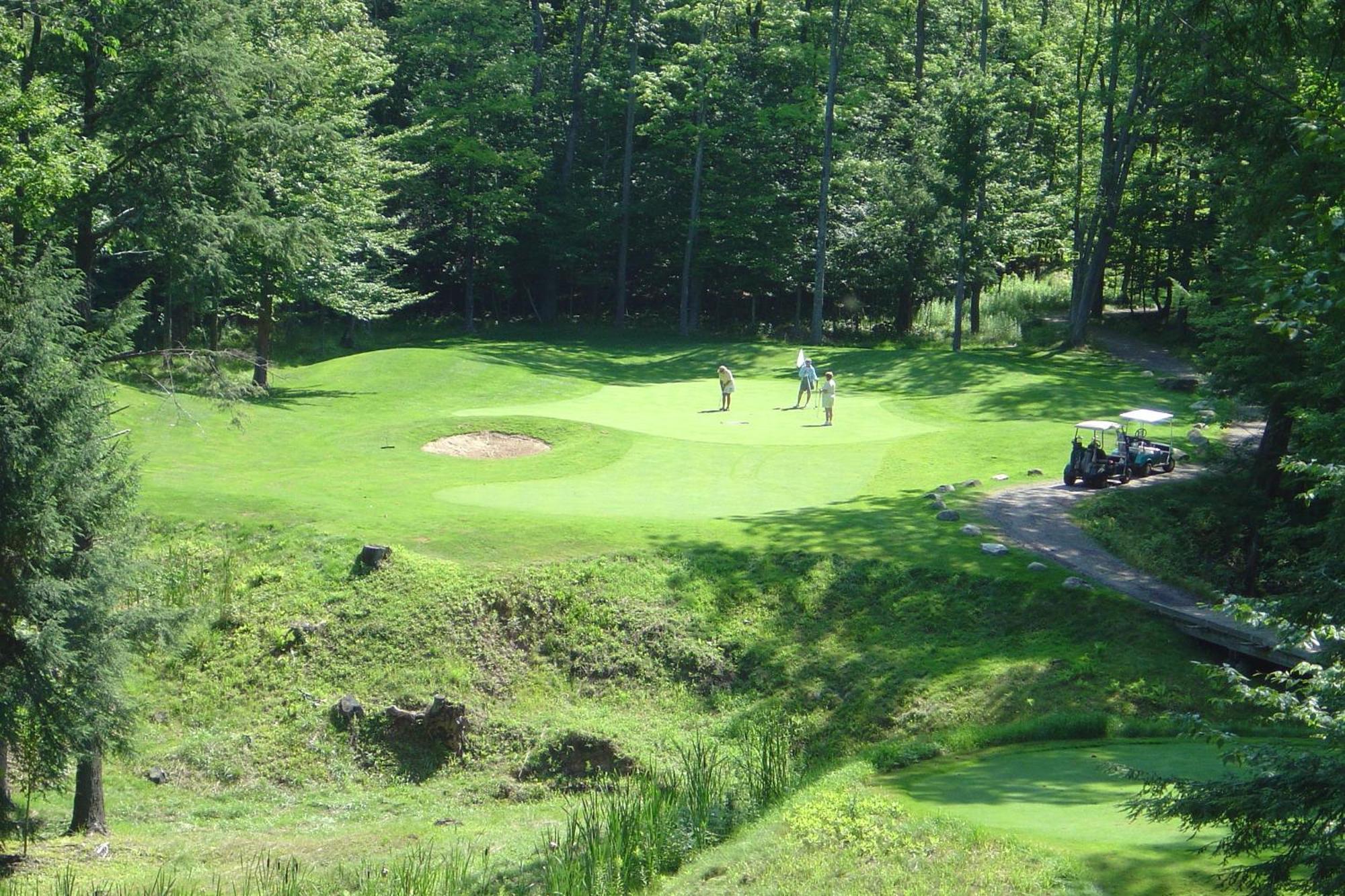 Caberfae Peaks Ski & Golf Resort Harrietta المظهر الخارجي الصورة